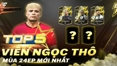 Top 5 Viên Ngọc Thô Đầy Tiềm Năng Mùa 24 ENERGETIC PLAYER